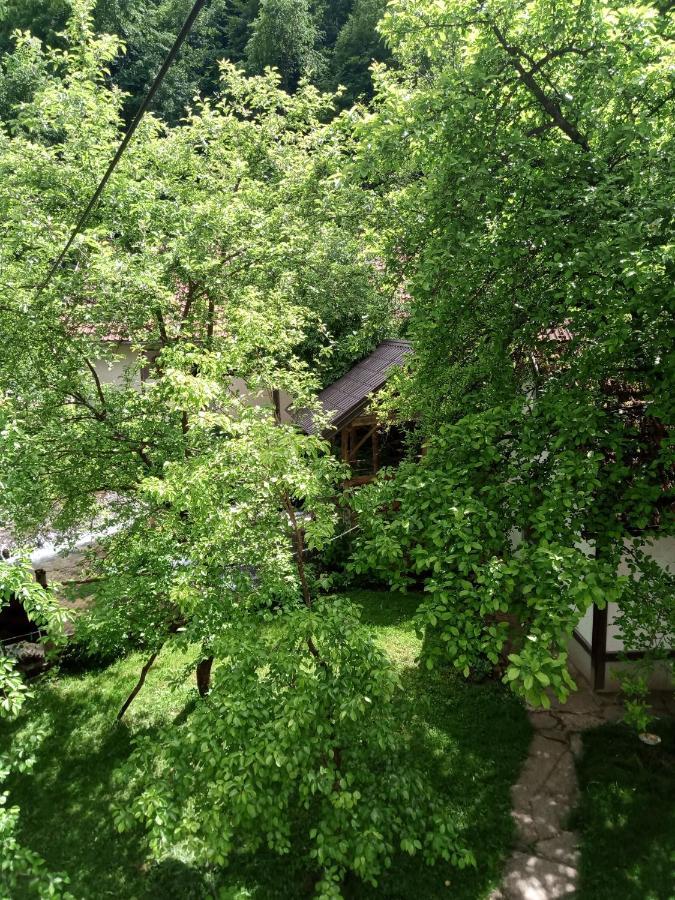 Hotel Smjestaj Na Selu "Dule Piljic" Janjske Otoke. Sipovo Exteriér fotografie